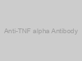 Anti-TNF alpha Antibody